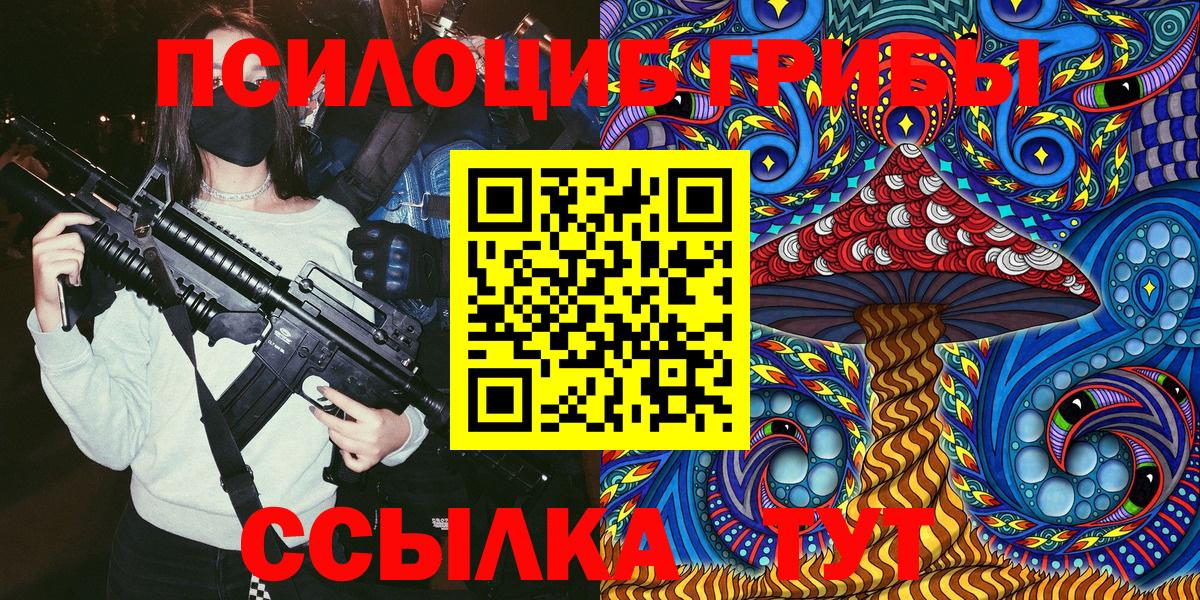 Псилоцибиновые грибы Psilocybe Приморско-Ахтарск